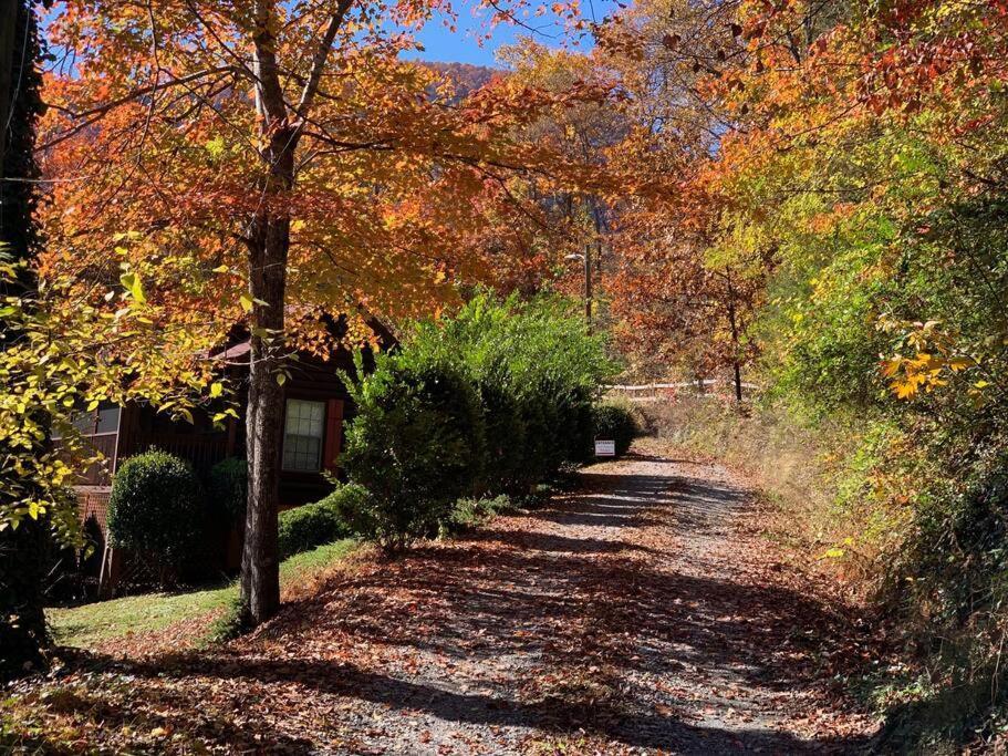 Walk To Lake Lure Chimney Rock From Autumn Splendor Cabin Villa Eksteriør bilde